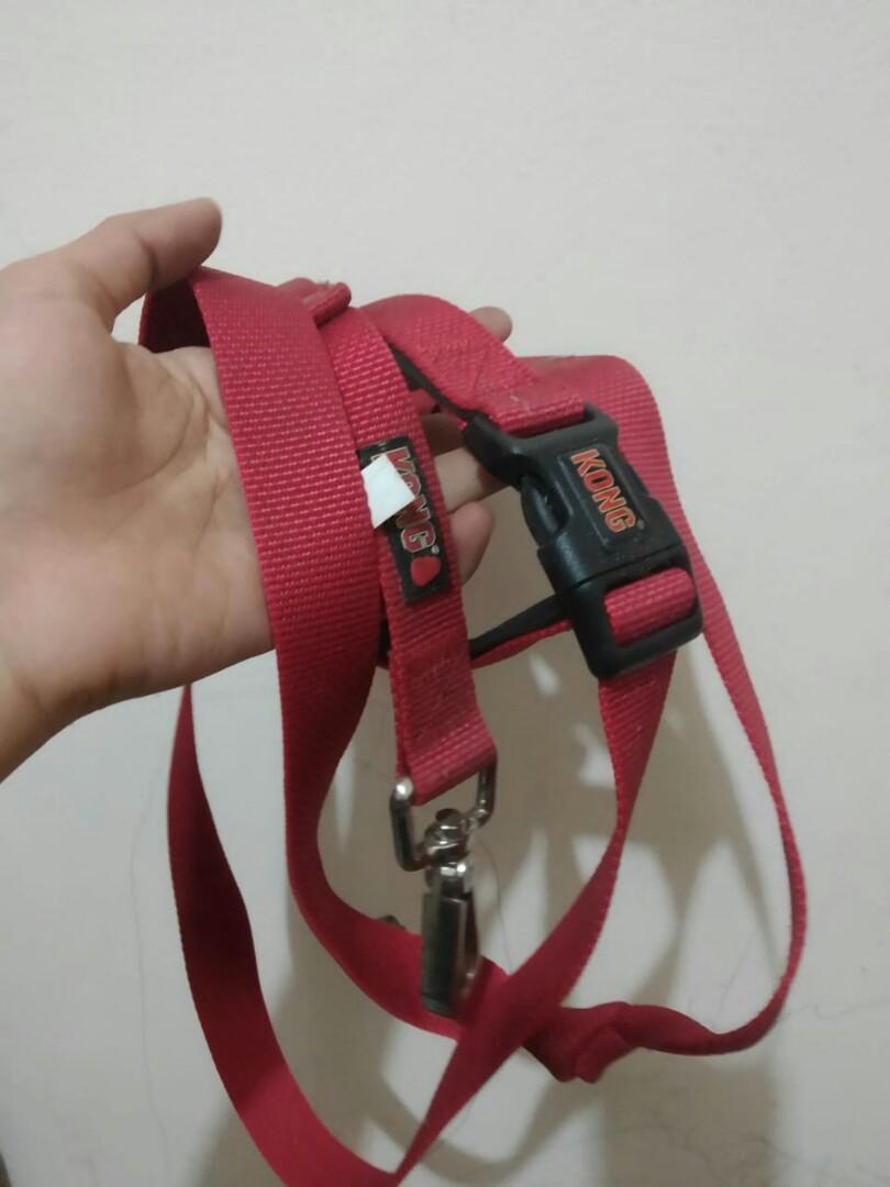 Kong padded handle traffic leash online