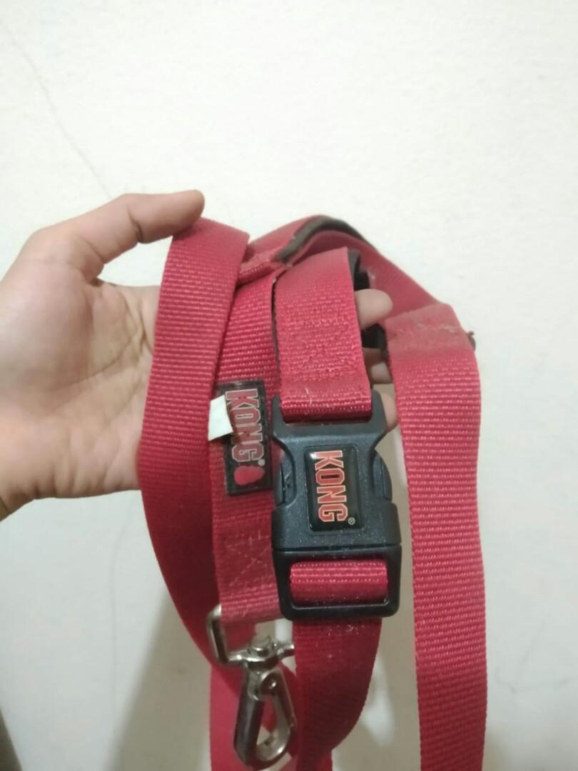 Kong padded handle traffic leash discount
