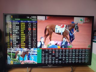 （分類：）位於 。 由 eggleung0305 提交（商品編號 1111688173，圖片 1）。簡介： 。