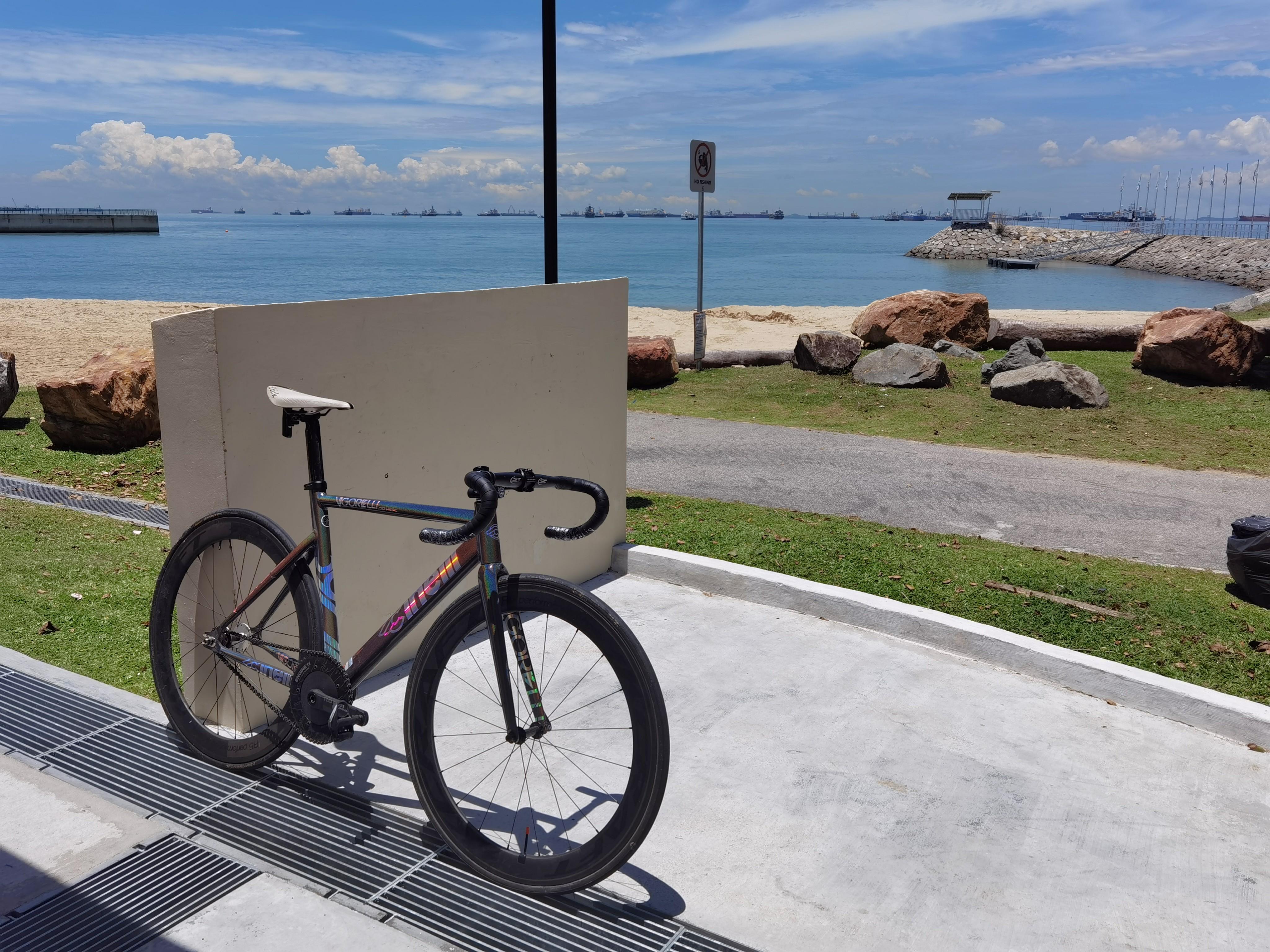 Cinelli vigorelli sale shark special edition