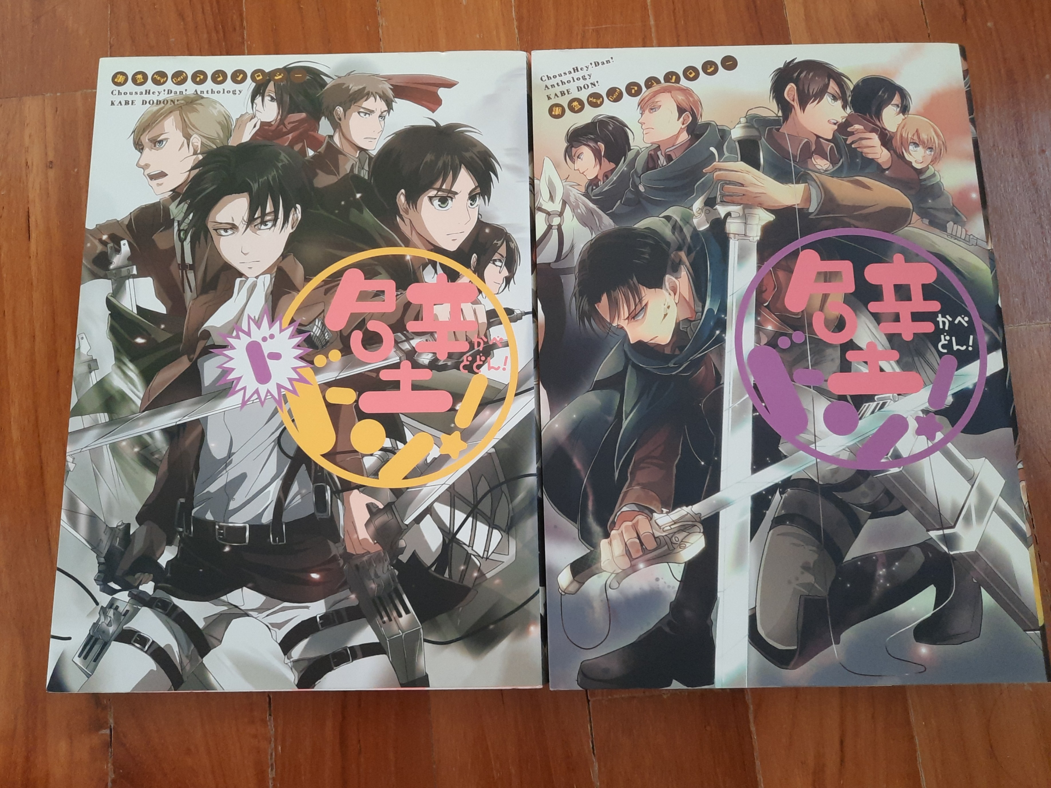 Attack on Titan set of 2 books anthology comics doujinshi anime