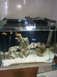 (Category: ) located in . Submitted by akash12354 (Listing ID 1112062429, Image 1). Description: .