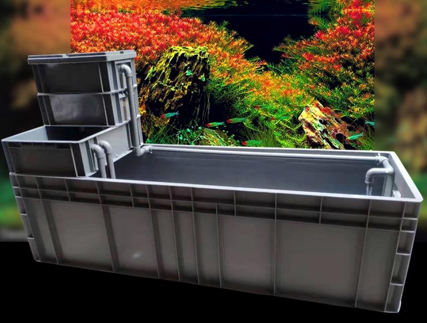 NEW ! pond tub filtration koi goldfish ranchu monster fish aquarium quarantine small large turtles terrapin frogs animals aquatic plants breeding goldfish guppy (Category: Homes & Other Pet Accessories) located in Singapore. Submitted by aquamaniacs (Listing ID 1111937767, Image 1). Description: available dimensions L x W x H 60x40x58cm - $150.00 60x40x67cm (higher capacity filtration compartments) - $202.00 90x40x58cm - $189.00 90x40x69cm (highe