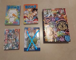 （分類：）位於 。 由 cslho 提交（商品編號 247691564，圖片 1）。簡介： 。