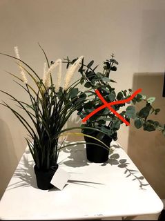 (Category: ) located in . Submitted by loveddecor (Listing ID 1110151837, Image 1). Description: .