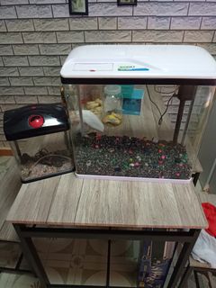 (Category: ) located in . Submitted by mrunited (Listing ID 1112234030, Image 1). Description: .