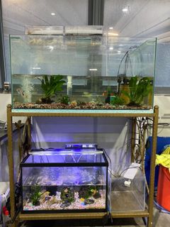 (Category: ) located in . Submitted by royhouu (Listing ID 1112089911, Image 1). Description: .