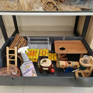(Category: ) located in . Submitted by butterlicioussg (Listing ID 1112096138, Image 1). Description: .