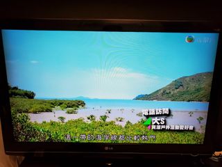 （分類：）位於 。 由 honly421 提交（商品編號 1112197319，圖片 1）。簡介： 。