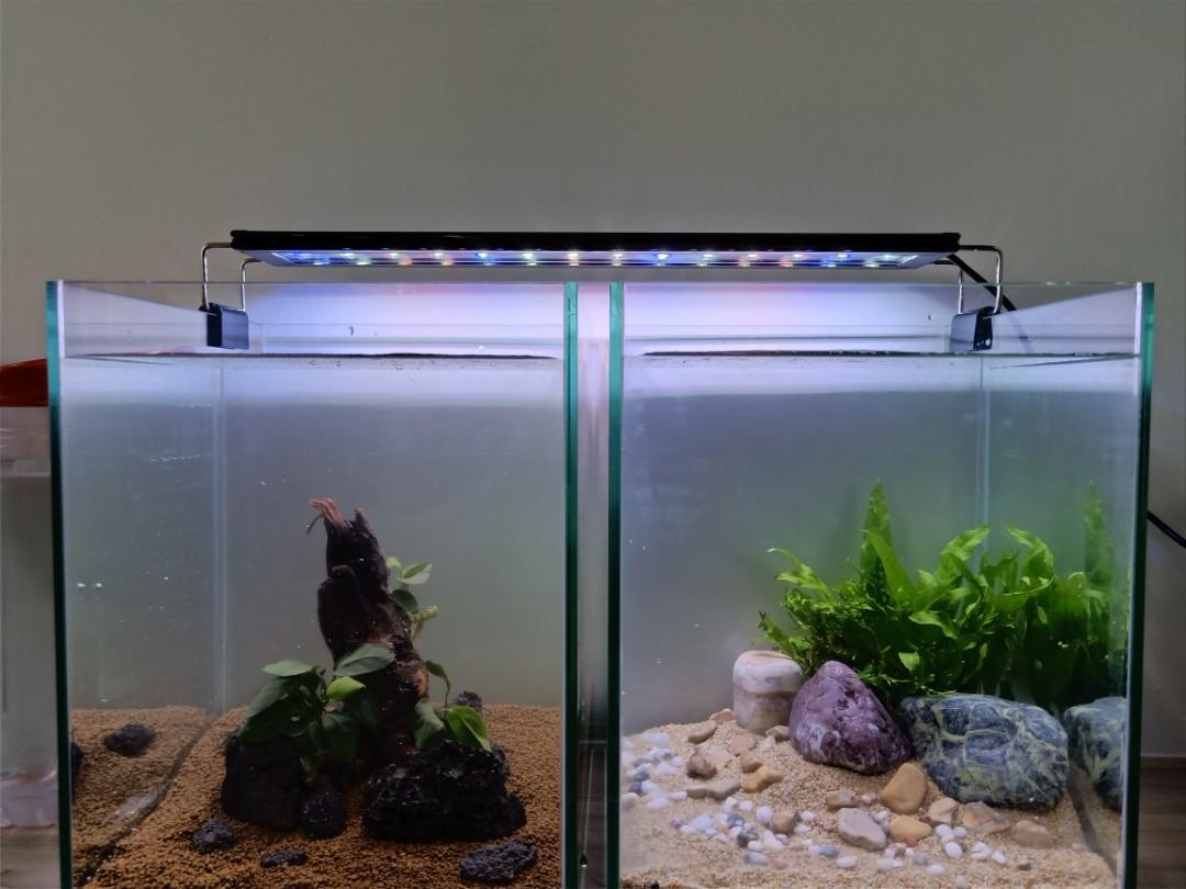 660 Contoh Landscape Aquarium HD