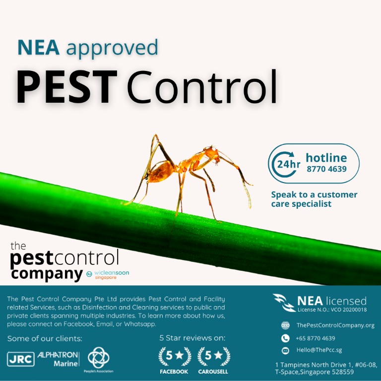 (Category: ) located in . Submitted by pestcontrolcompany (Listing ID 1092480844, Image 1). Description: .