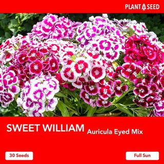 (Category: ) located in . Submitted by plantaseed (Listing ID 1090538302, Image 1). Description: .