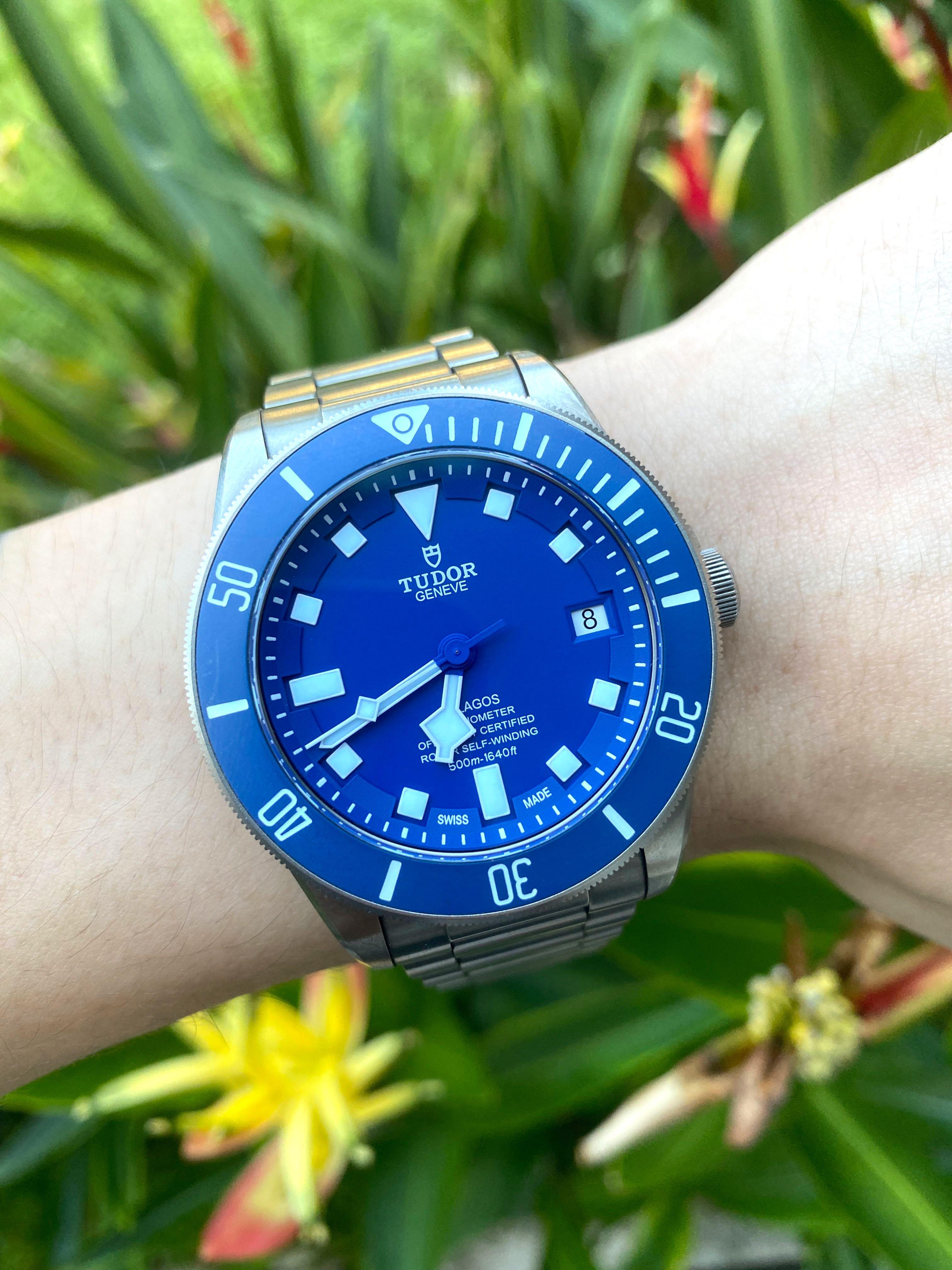 sold-tudor-pelagos-blue-m25600tb-0001-luxury-watches-on-carousell