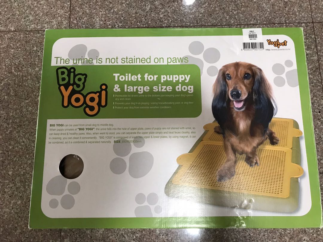 yogi pee tray
