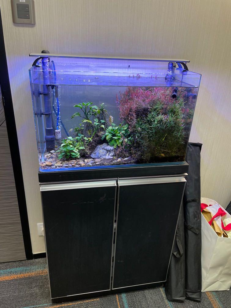 魚缸23u0027u0027 x 12u0027u0027 x 45u0027u0027 吋, 傢俬＆家居, 園藝, 割草機和修剪機- Carousell