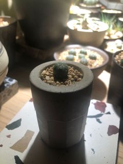 （分類：）位於 。 由 asd741288 提交（商品編號 1112326450，圖片 1）。簡介： 。