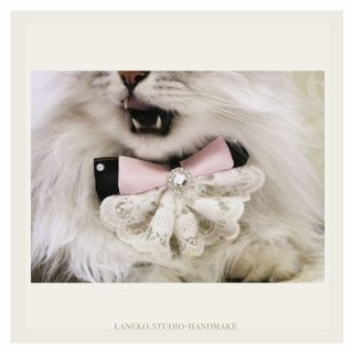 （分類：）位於 。 由 laneko.studio 提交（商品編號 1112392200，圖片 1）。簡介： 。
