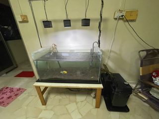 (Category: ) located in . Submitted by nastydiver (Listing ID 1112414434, Image 1). Description: .