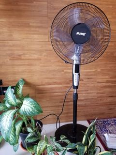 (Category: ) located in . Submitted by manyam (Listing ID 1112353227, Image 1). Description: .