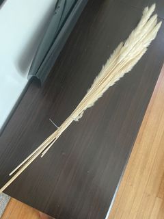 (Category: ) located in . Submitted by anshurocks (Listing ID 1112369144, Image 1). Description: .