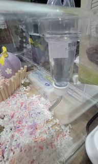 （分類：）位於 。 由 bo2341 提交（商品編號 1112597425，圖片 1）。簡介： 。