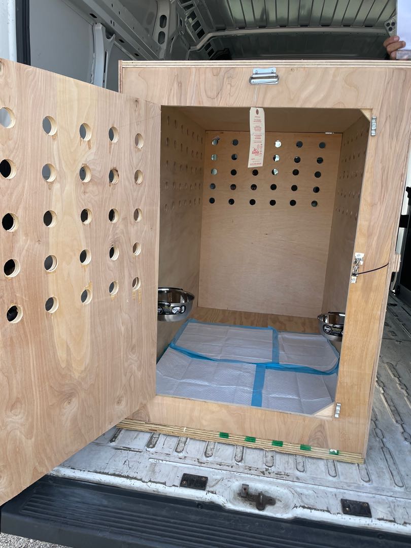 IATA airline approved giant dog crate, Pet Supplies, Homes & Other Pet