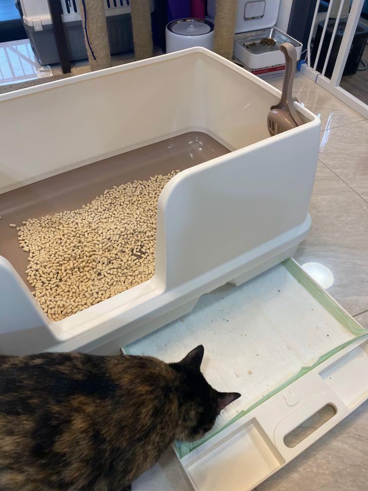 DIY Pine Pellet Sifting Litter Box