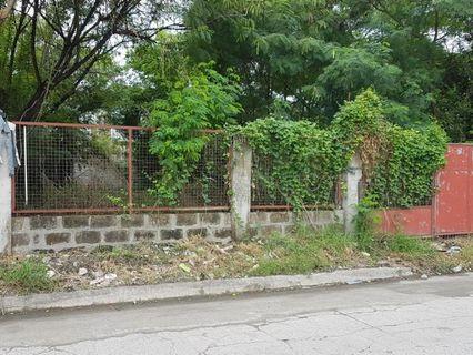 FOR  SALE:  1350 sqm Vacant Lots in Multinational Village P