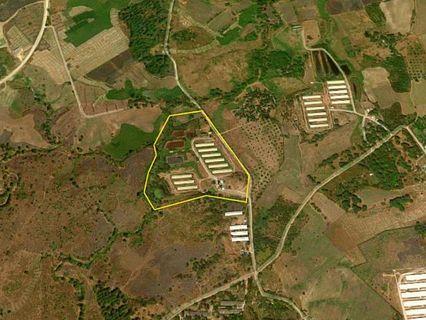 9.9-hectare Farm for Sale in Capas, Tarlac