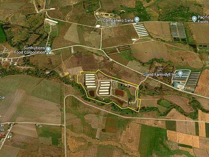 12.1-hectare Farm for Sale in Concepcion, Tarlac