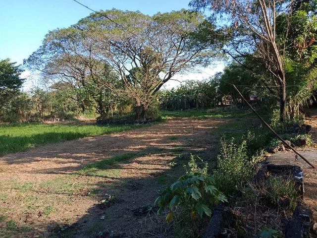 (Category: ) located in . Submitted by jedidiahproperties (Listing ID 1065896029, Image 1). Description: .