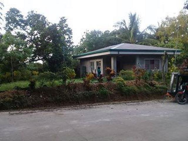 Lot with Bungalow house for sale in Tapon Dumanjug Cebu, Property, For ...