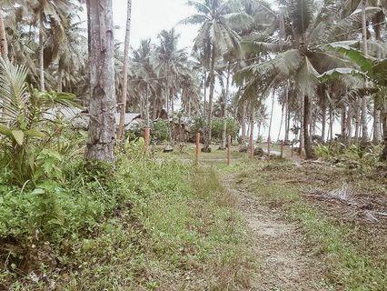 Siargao property for sale