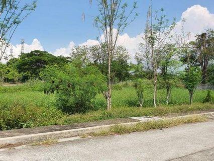 Rizal Technopark residential lots near ortigas ave and pasig