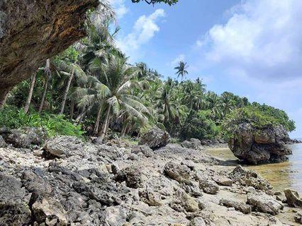Lot For Sale in Siargao Perfect for Beach Resort