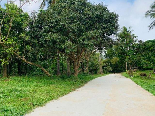 Seafront land in Grenada - Land for sale, Real estate services, Natural  landmarks