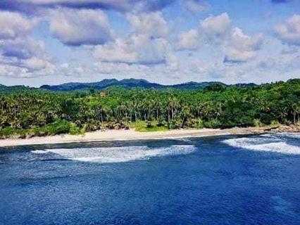 (PL# 11153) A Siargao Beach Property for Sale