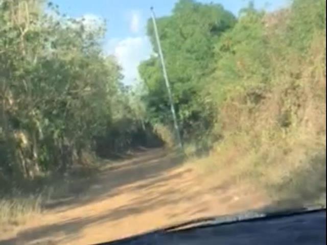 Farm lot for sale (Category: Lot) located in Malvar. Submitted by evadiaz (Listing ID 1074802360, Image 1). Description: Farm land for sale. 27hectares. P250 per SQM. Located @ brgy padapada gerona tarlac 1.5 km away from the highway..