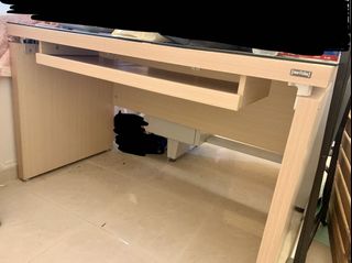 （分類：）位於 。 由 swiftfish.9aa7d3 提交（商品編號 1134742880，圖片 1）。簡介： 。