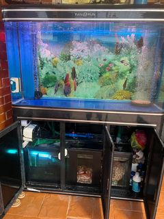 (Category: ) located in . Submitted by naomijudah (Listing ID 1134767605, Image 1). Description: .