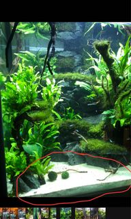(Category: ) located in . Submitted by estrange002 (Listing ID 1134800286, Image 1). Description: .
