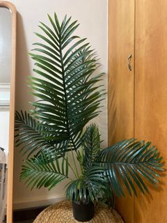 (Category: ) located in . Submitted by rachobc (Listing ID 1134735475, Image 1). Description: .