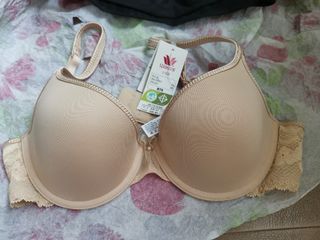 (Category: ) located in . Submitted by mssaigon2x (Listing ID 1134726840, Image 1). Description: .