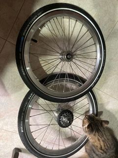 (Category: ) located in . Submitted by 8012nf121d4y (Listing ID 1134710777, Image 1). Description: .