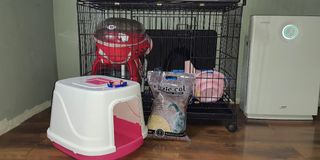 (Category: ) located in . Submitted by notsmollbean (Listing ID 1134820368, Image 1). Description: .