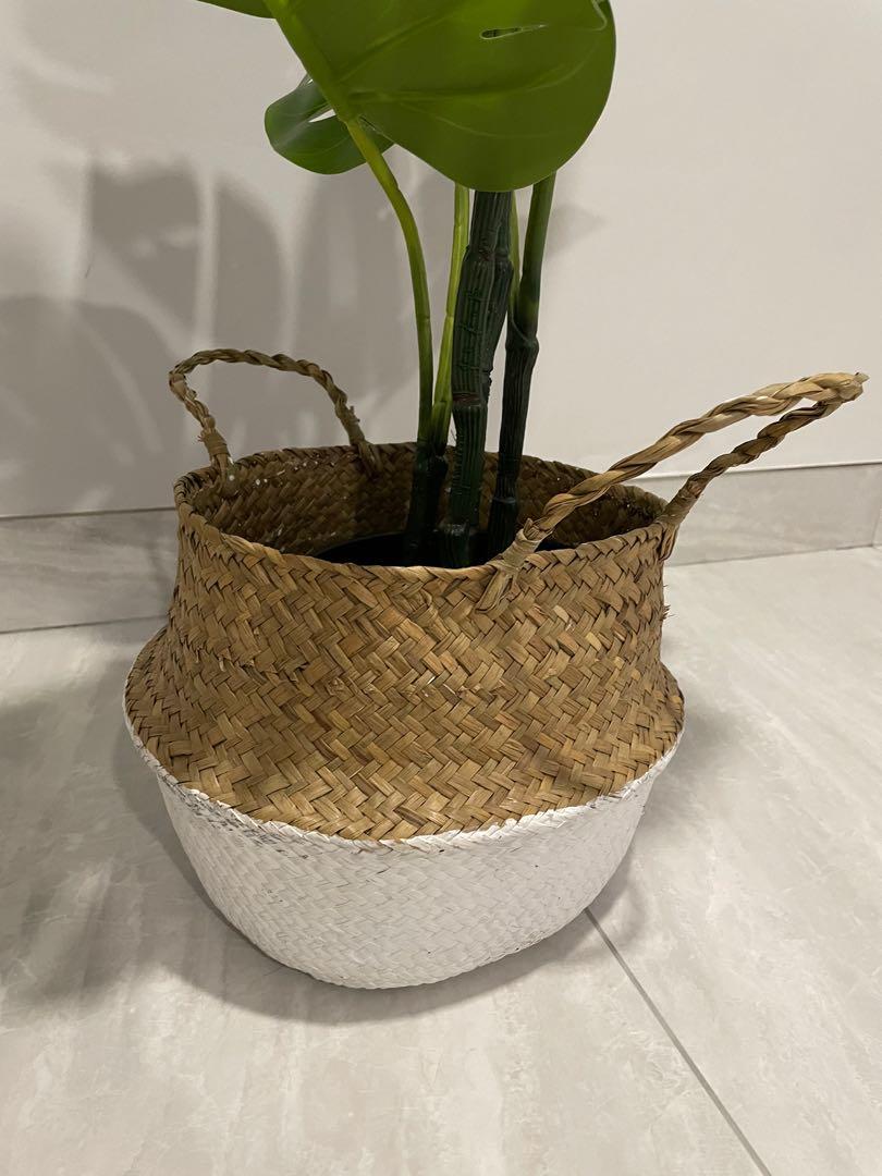 Faux IKEA Monstera Plant 80cm with Basket, Furniture & Home Living
