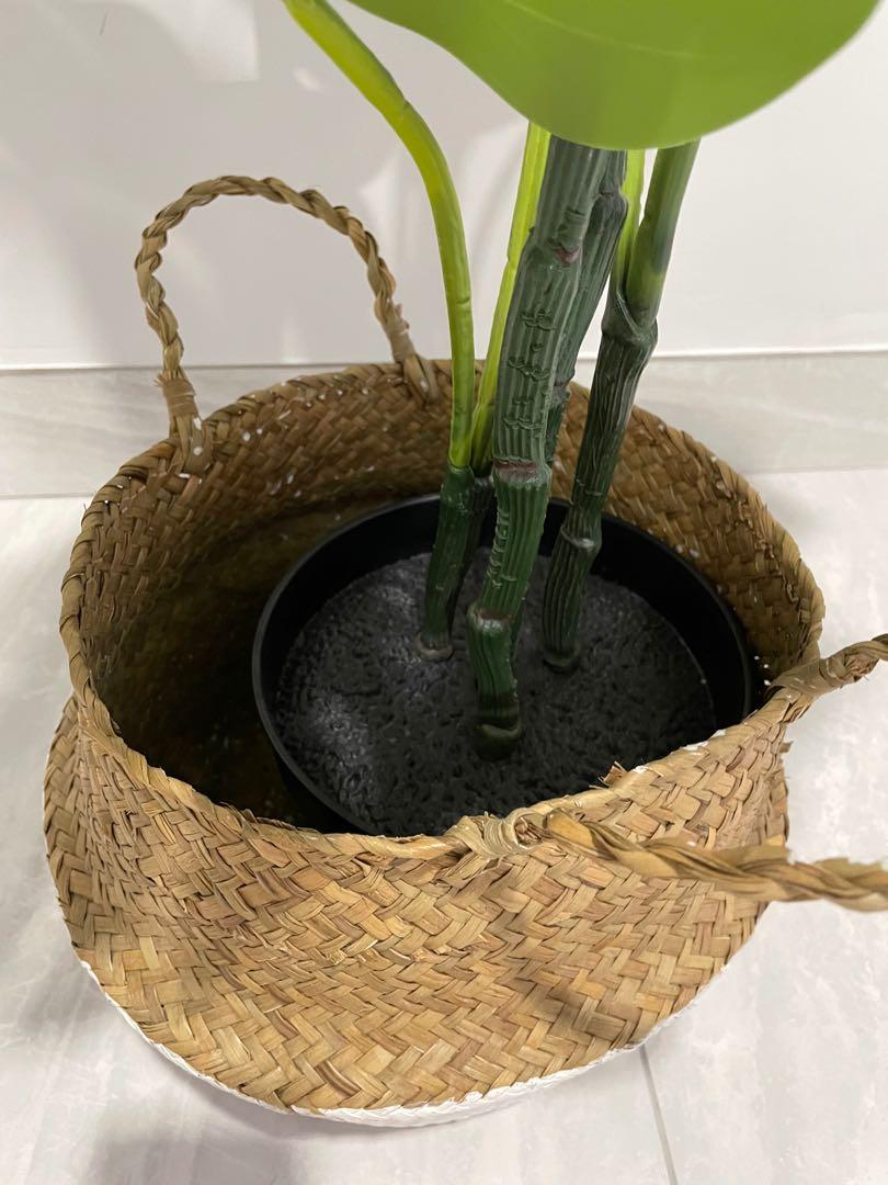 Faux IKEA Monstera Plant 80cm with Basket, Furniture & Home Living