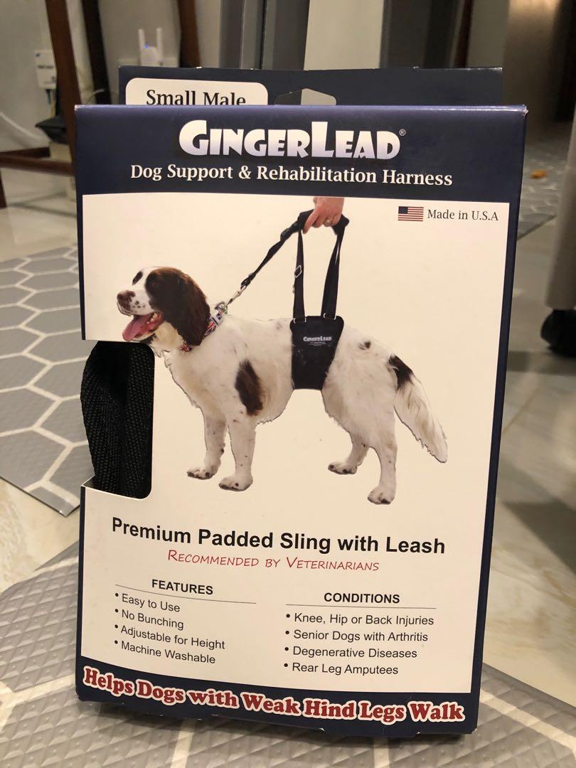 gingerlead sling