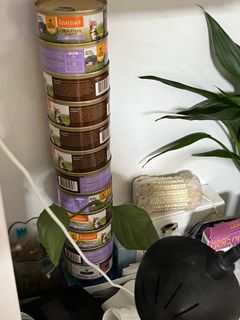 （分類：）位於 。 由 8.lala.8 提交（商品編號 1134681267，圖片 1）。簡介： 。