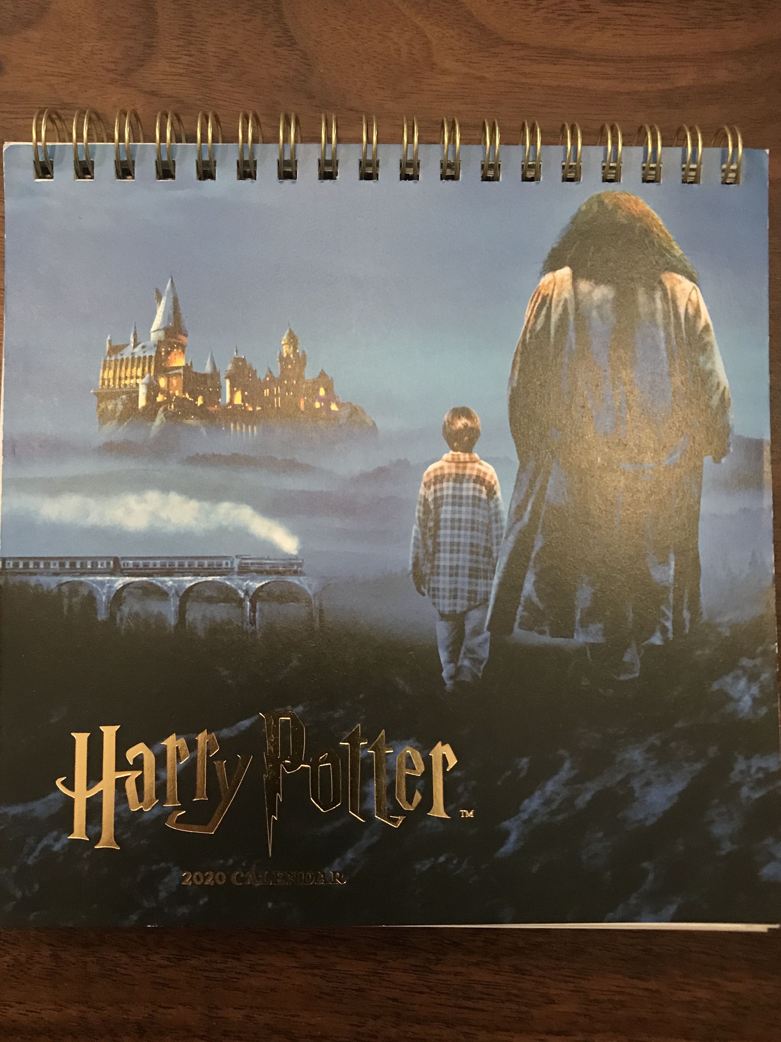 Typo hot sale harry potter